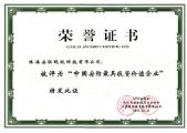 2009中國安防最具投資價(jià)值企業(yè)